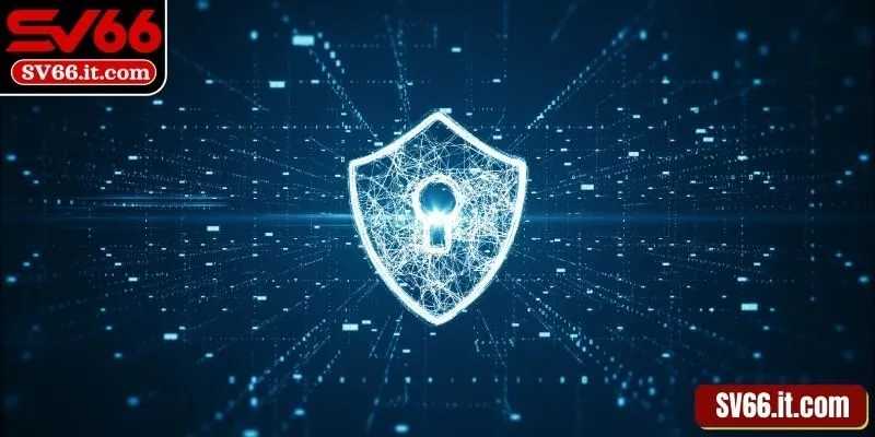 Chính sách bảo mật về dữ liệu tài chính